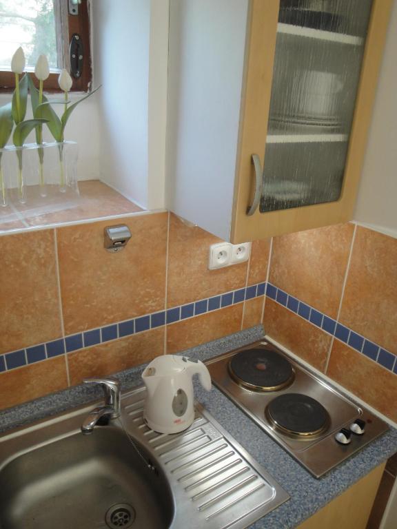 Pension Apartment Granit Prag Oda fotoğraf